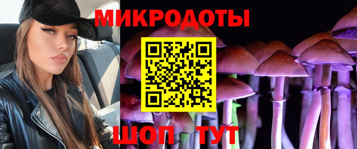 Псилоцибиновые грибы мухоморы  где продают наркотики  Нижнекамск  Вход с VPN 